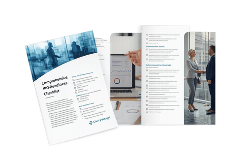 Comprehensive IPO Readiness Checklist Brochure Sample